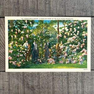Vintage Horseback Riding Blue Ridge Mountains Linen Postcard